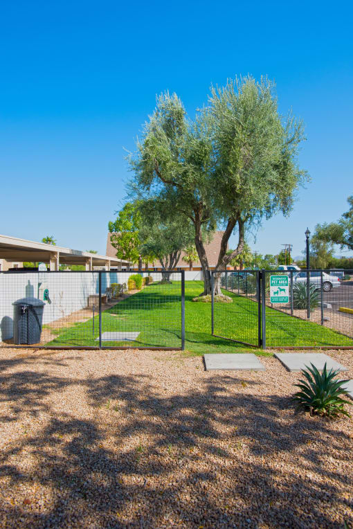 Apartments in Scottsdale For Rent - Well-Kept Dog Park With Trees, Lush Grass, Benches, And A Clean-Up Area.