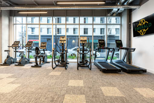 a large fitness room with cardio equipment and a large window