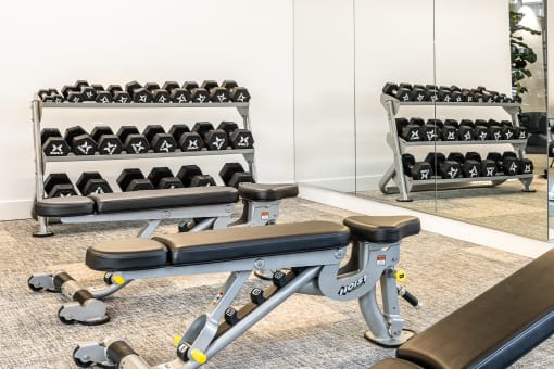 a row of weights machines in a gym