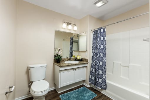 Bathroom With Bathtub  at 55+ FountainGlen Rancho Santa Margarita, California