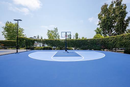 A basketball court with a hoop and a net.