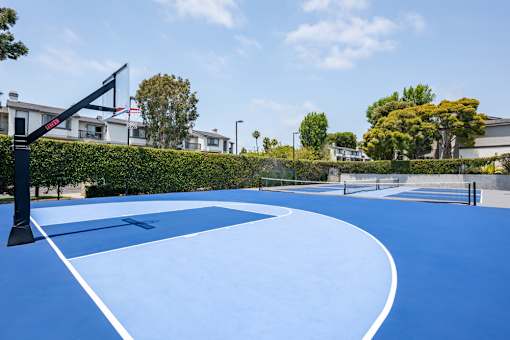 A basketball court with a hoop and a white line.