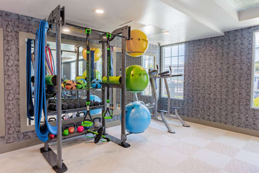 fitness center with exercise balls and yoga mats