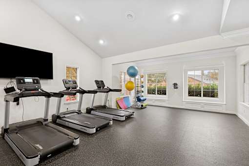 Apartments in North Austin, TX, with In-Unit Washer and Dryer - Museo Channings Mark - Fitness Center With Treadmills, Rubber Flooring, Exercise Balls, Mats, Large Windows, And Wall-Mounted TV.