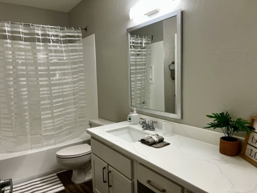 a bathroom with a sink and a toilet and a shower