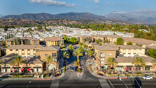 A street view of a residential area with houses and palm trees.