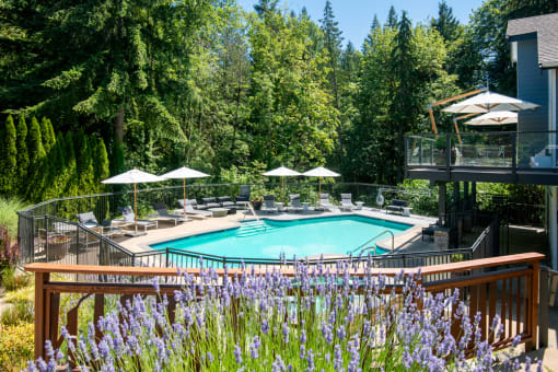 a swimming pool at a resort with trees at Lakemont Orchard, Issaquah, WA  