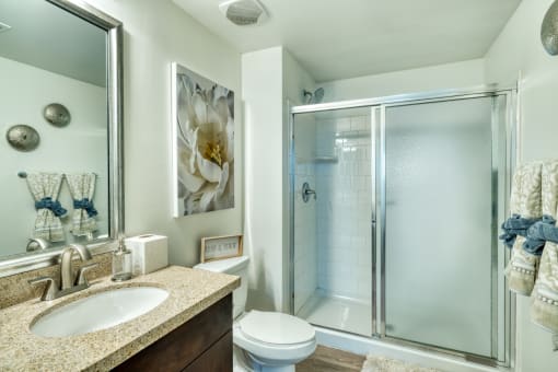 furnished bathroom with walk in shower
