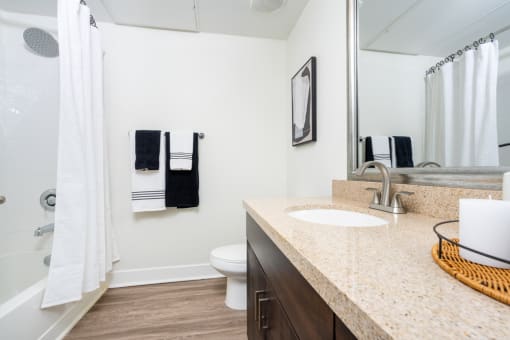 Large Soaking Tub In Master Bathroom at Level at Sixteenth, Phoenix
