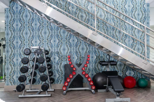 Fully Equipped Fitness Center at Level at Sixteenth, Arizona