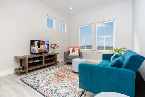 Mihir Taylor model living room with blue furniture and a tv