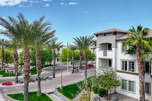 building with palm trees on the street at Monument, Chandler
