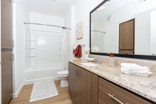 a bathroom with a shower toilet and sink and a mirror