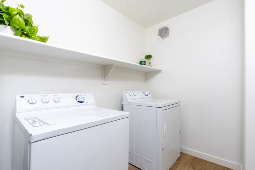 Apartments Chandler, AZ - Monument - Laundry Room with Shelf, Washer and Dryer, and Plant