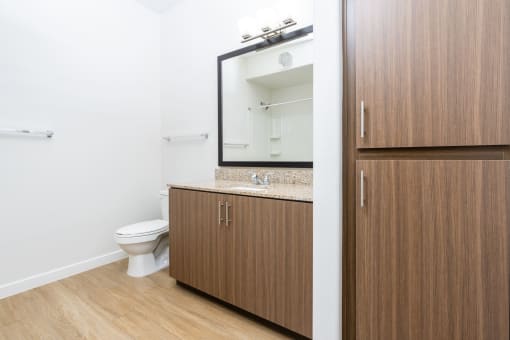 a bathroom with a toilet and a sink and a mirror