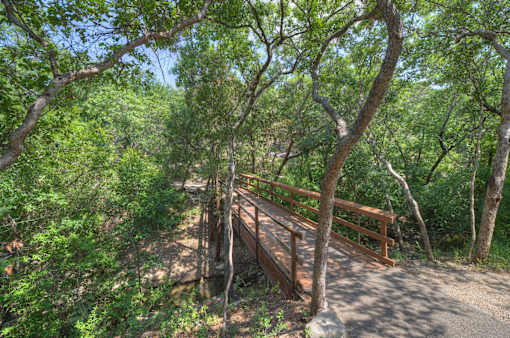 A wooden bridge crosses a small stream in a wooded area.