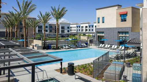 Two Bedroom Luxury Apartments in Riverside, CA - North Grove - Resort Style Pool With Lounge Chairs And Blue Umbrellas, Palm Trees, And Community Buildings Around The Courtyard