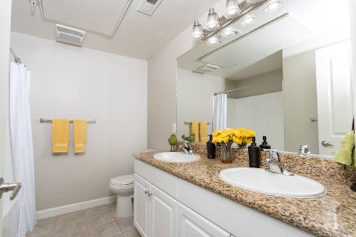 A bathroom with a granite countertop and white fixtures.