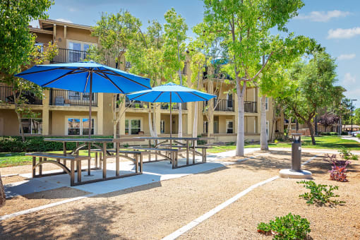 a picnic area with benches tables and umbrellas in front of an apartment building at 55+ FountainGlen Temecula, Temecula, California