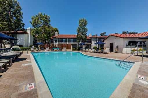 Apartments for Rent in Laguna Niguel - Pointe Niguel - Sparkling Pool with Lounge Chairs, Umbrellas, Trees, and View of Apartment Buildings at Pointe Niguel, Laguna Niguel, 92677