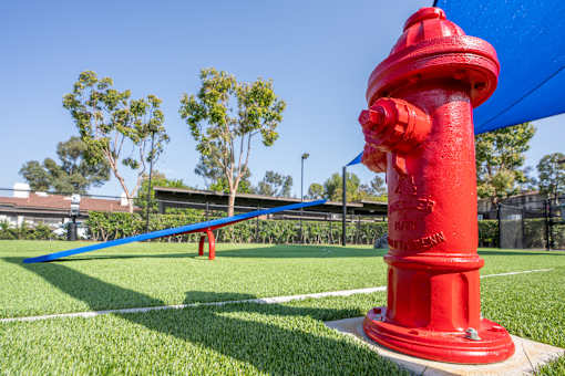 A red fire hydrant stands on a grassy field.