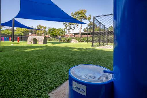 A blue trash can with the label "Tool Dog" on it is in the foreground of a grassy area with a blue shade structure in the background.