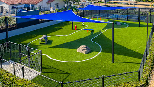 A small children's playground with a blue canopy.