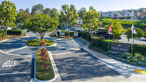 A street view of a residential area with a sign that reads "Pointe Niguel".