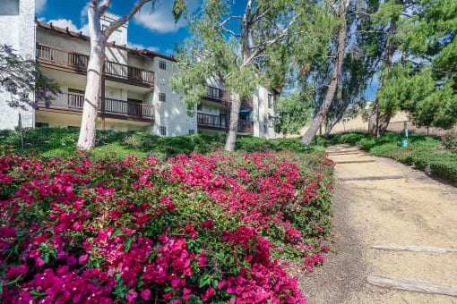 Pathway to apartments with flowers at Ridgecrest, California