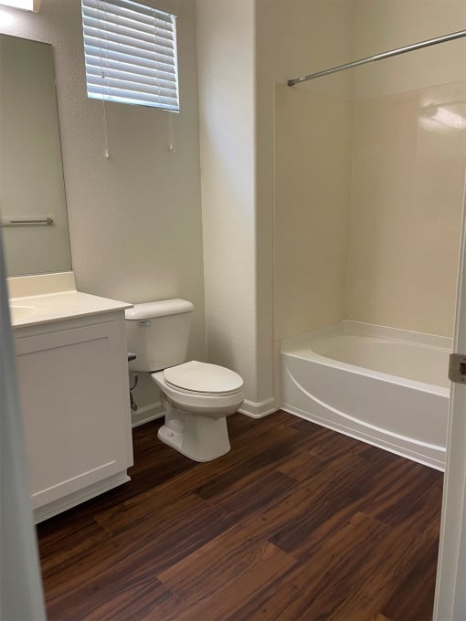 furnished bathroom with wood plank style flooring