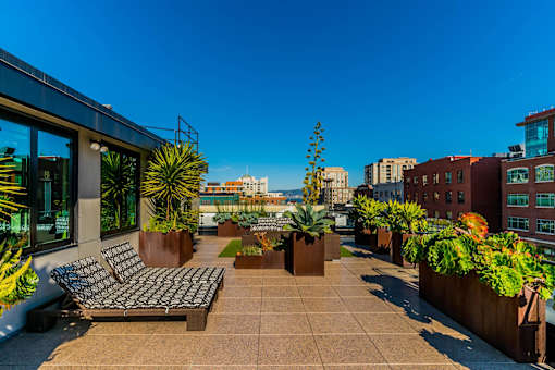 A patio with a couch and potted plants.at Arc Light, San Francisco