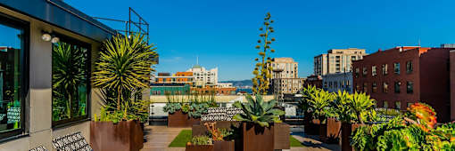 A rooftop garden at Arc Light, San Francisco California