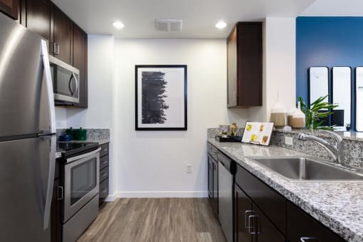 San Francisco CA Luxury Apartments - Spacious Kitchen with Granite Countertops and Stainless Steel Appliances Such as Refrigerator, Stove, and Microwave