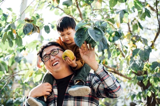 happy father and sun picking fruit near trees at Bayswater Apartments, California