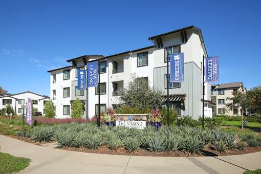 Dog-Friendly Apartments in West Sacramento, CA - The Strand - Exterior View of Apartment Complex with White Walls, Landscaped Plants, Trees, and Concrete Walking Path.