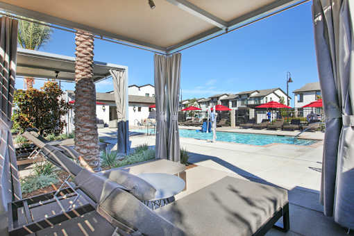 A patio with a pool and a palm tree.