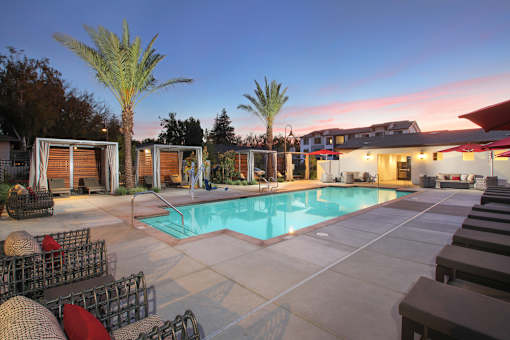 A poolside area with lounge chairs and palm trees.