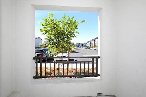 Patio view