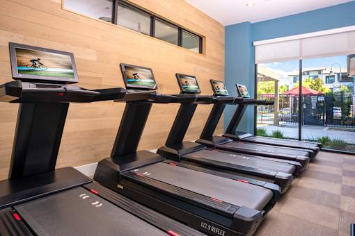 A gym with treadmills and screens on the wall.