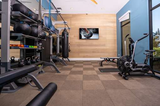 A gym with a variety of equipment including weights and a treadmill.