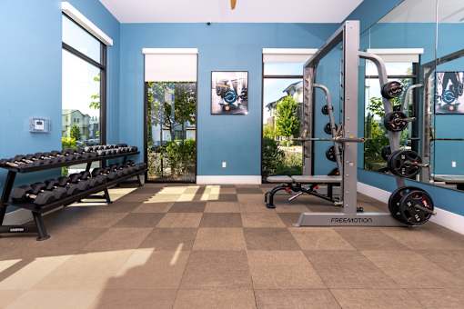 A gym with blue walls and a variety of equipment.