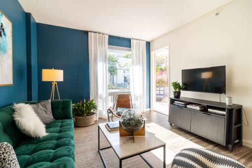 a living room with a blue accent wall and a green couch