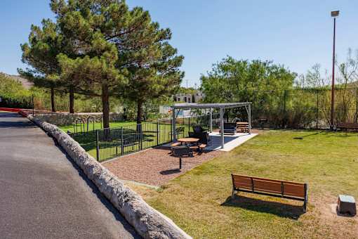 A park with a bench, a playground and a tree.