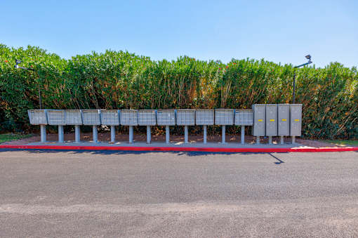 A parking lot with a row of parking meters and a hedge in the background.