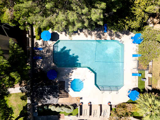 An aerial view of a pool surrounded by trees and lounge chairs.