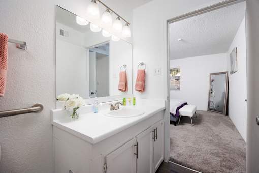 A bathroom with a white sink and a mirror above it.