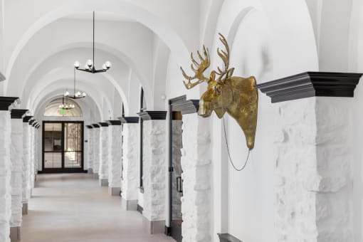 a hallway with white marble pillars and a deer head on the wall