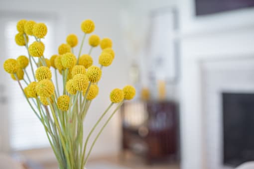 a vase of yellow flowers in a living room at Terracina, Broomfield, Colorado