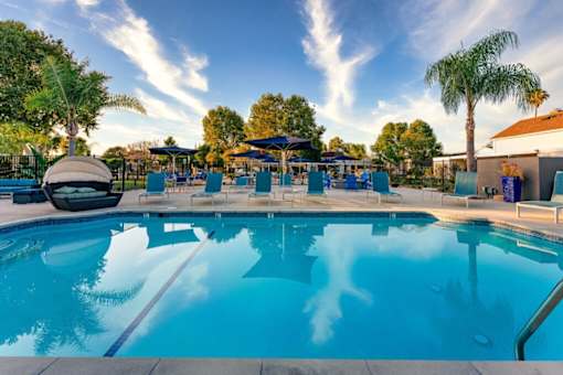 A large outdoor swimming pool surrounded by lounge chairs and umbrellas at Nola 624 Apartments, West Covina, California