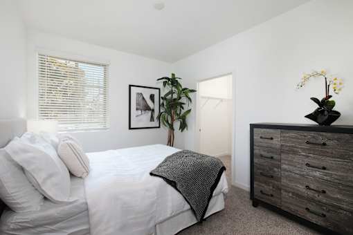 A bedroom with a bed, dresser, and a plant.